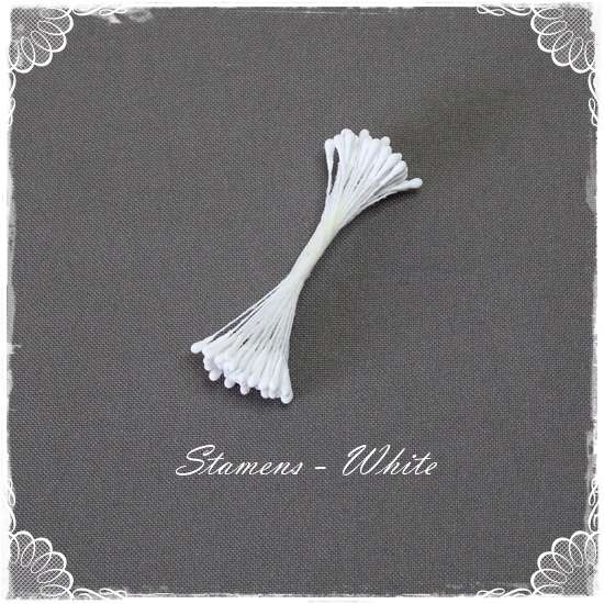 Stamens - White