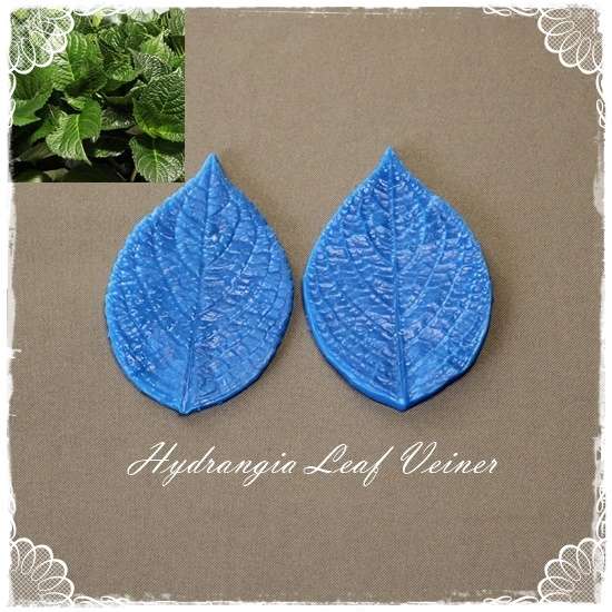 Hydrangea Leaf Veiner