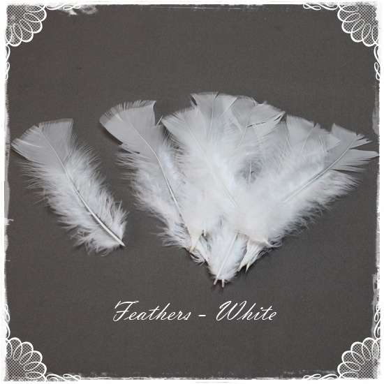 Feathers - White