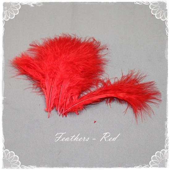 Red Feathers