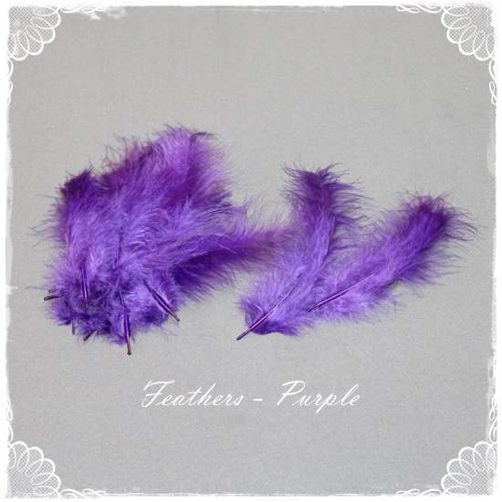 Feathers - Purple