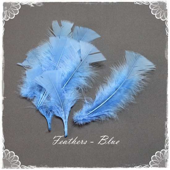 Feathers Blue