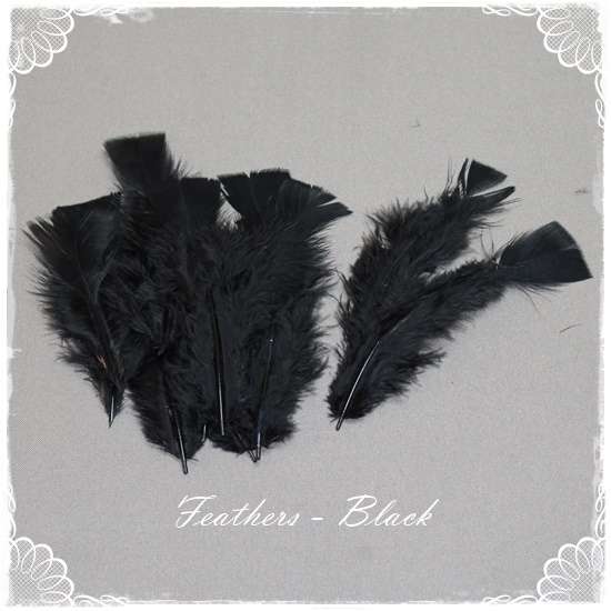 Feathers - Black