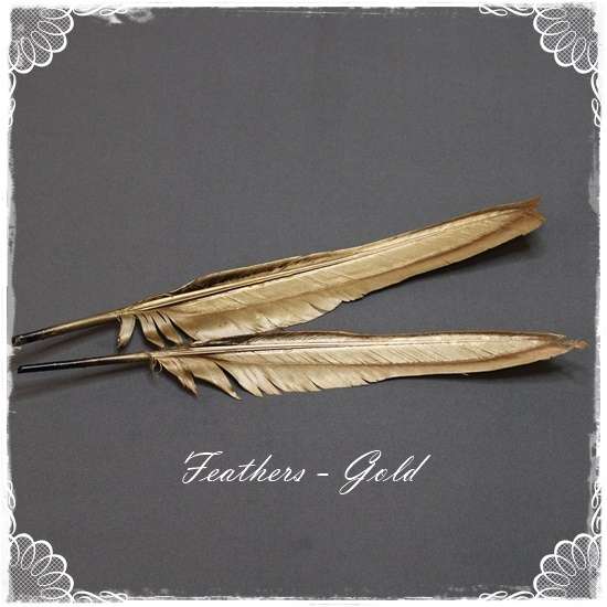 Feathers - Gold