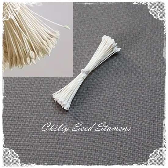 Chilly Seed Stamens