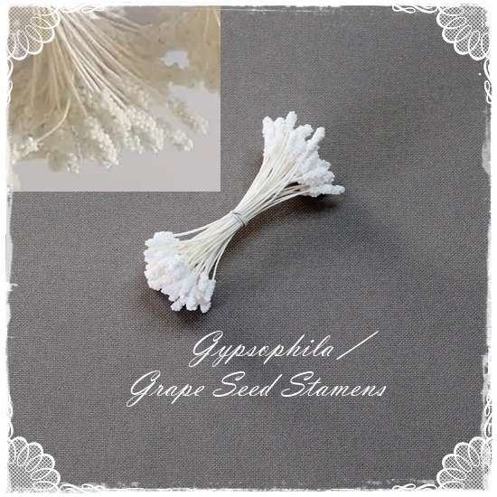 Gypsophila Stamens