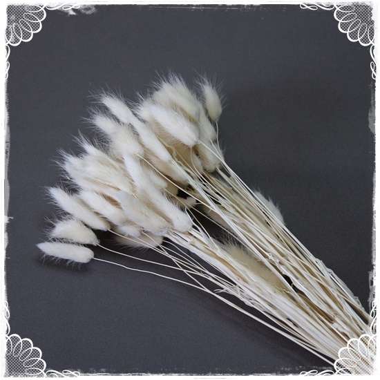 Bunny Tails - Cream