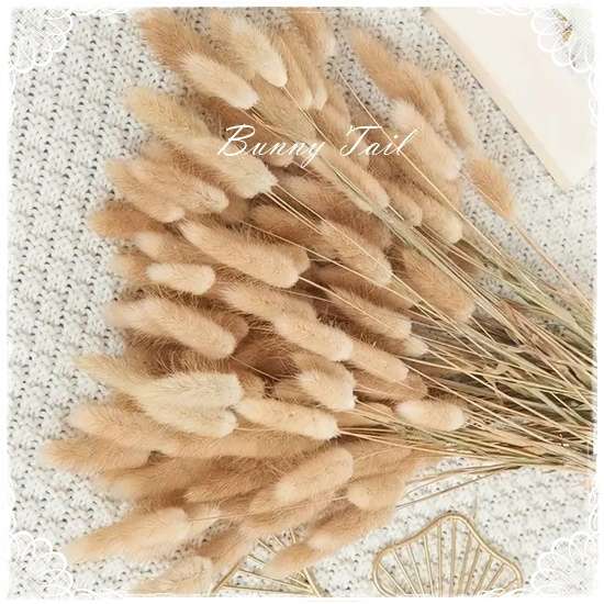 Bunny Tail - Light Brown