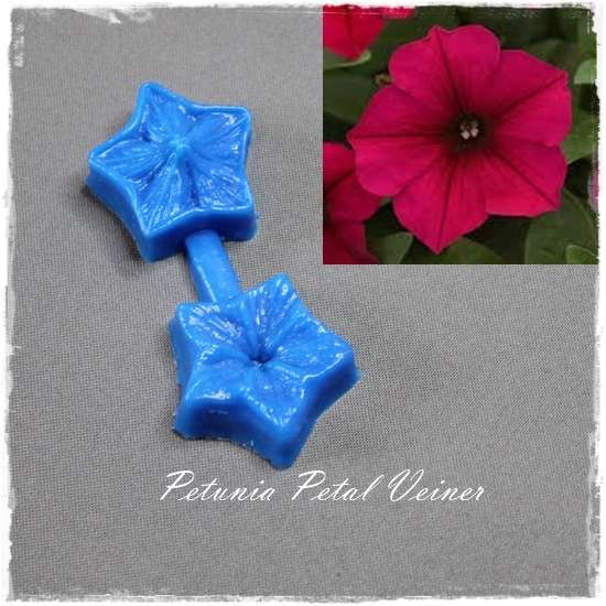 Petunia Petal Veiner
