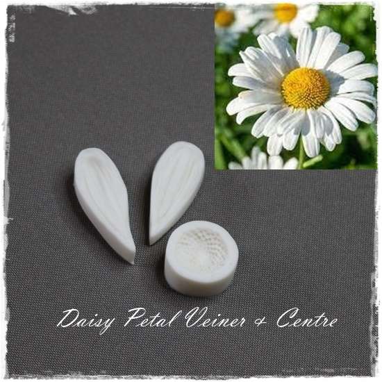 Daisy Centre & Petal Veiner