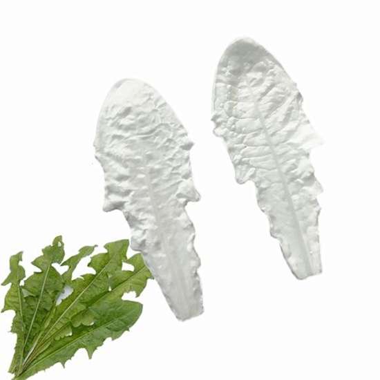 Dandelion Leaf Veiner
