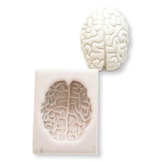 Brain Mould