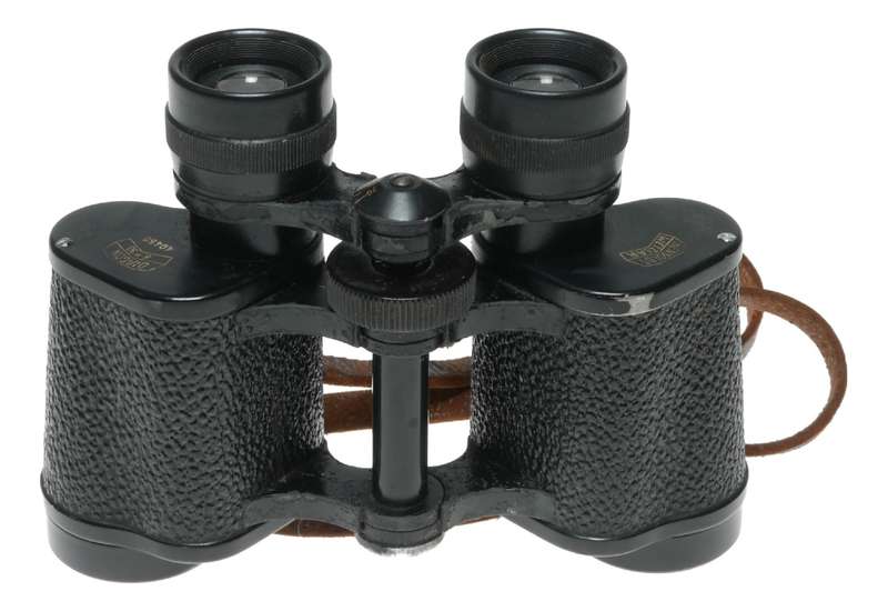 Hensoldt Wetzlar Diagon 8x30 Vintage Binoculars in Case