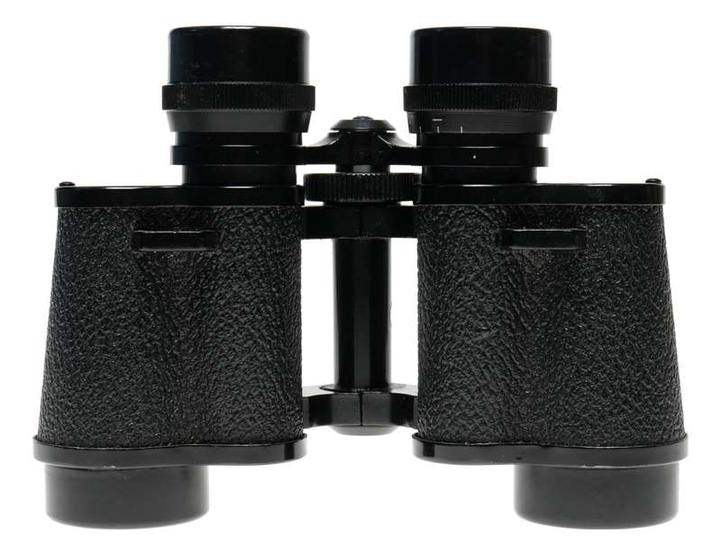 Bisley Delux 8x30 Binoculars cased caps strap complete set