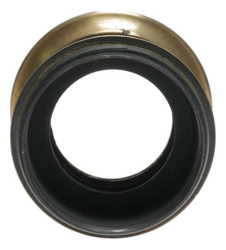 Brass Vintage Portrait Lens Film Photography Plate Bellows Camera