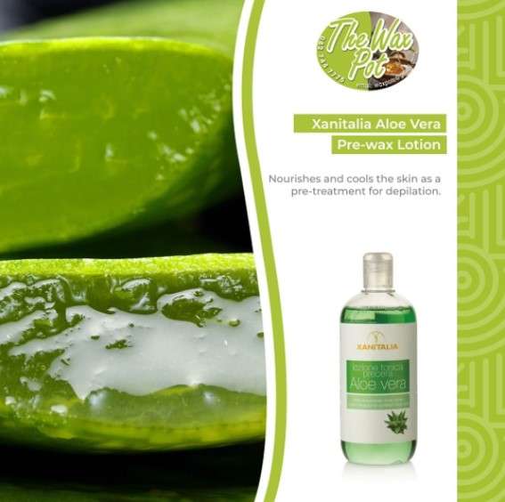 Xanitalia Aloe Vera Pre-wax  Lotion