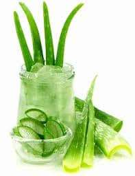 aloevera
