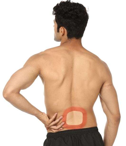 10 Patches Viopatch Large - Herbal Pain Relief Patch