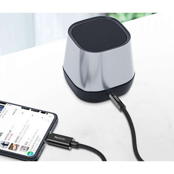 Yesido Lightning to 3.5mm Aux Audio Cable