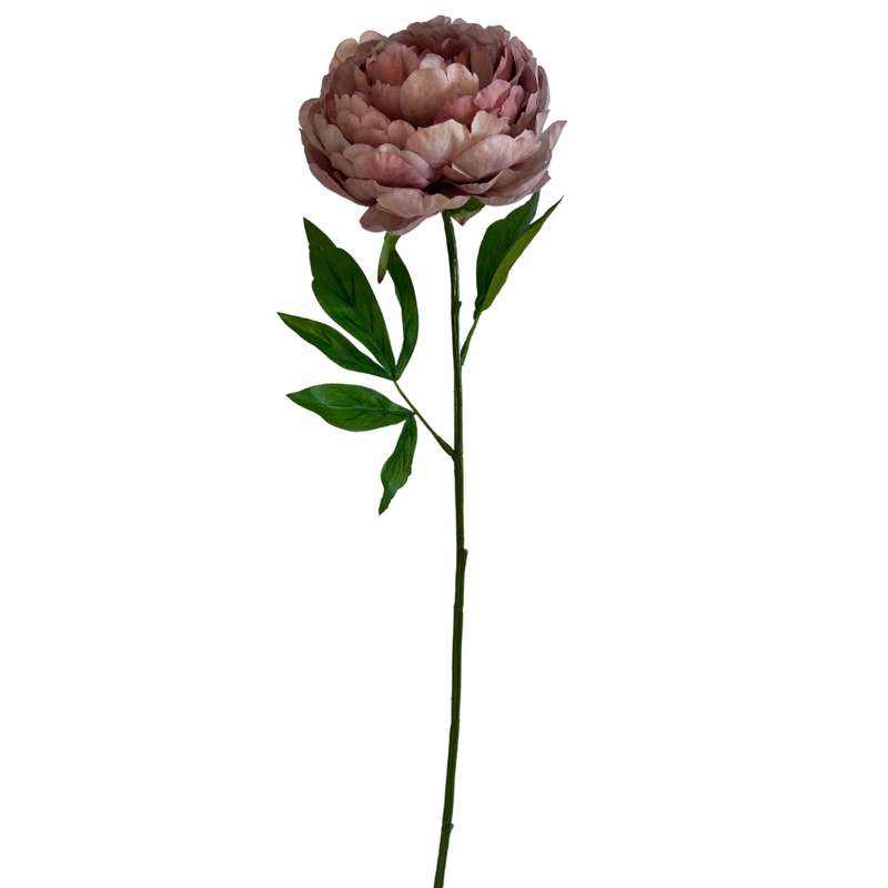 Toolhome Blossoms - Peony - Mauve - 57cm