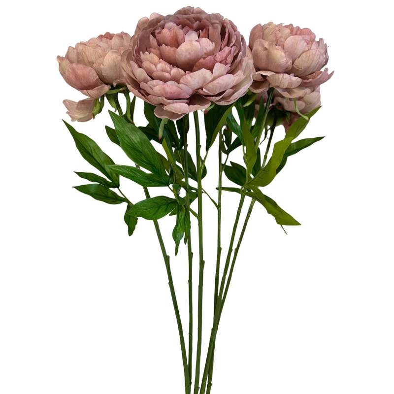 Toolhome Blossoms - Peonies - Mauve (Pack of 6 Stems)- 57cm