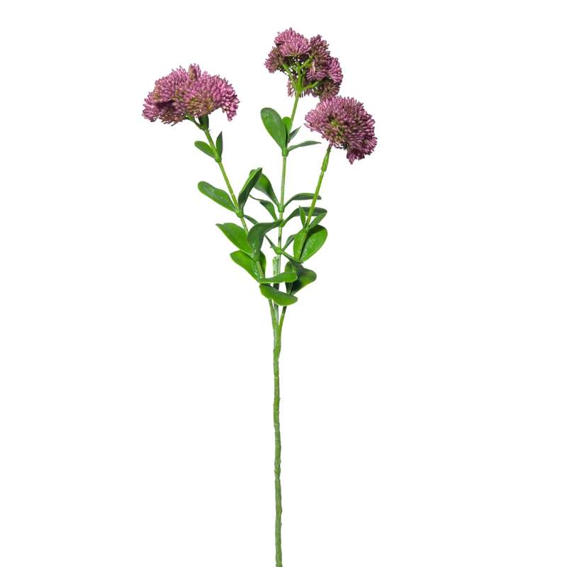 Toolhome Blossoms - Sedum - Pink - 56cm