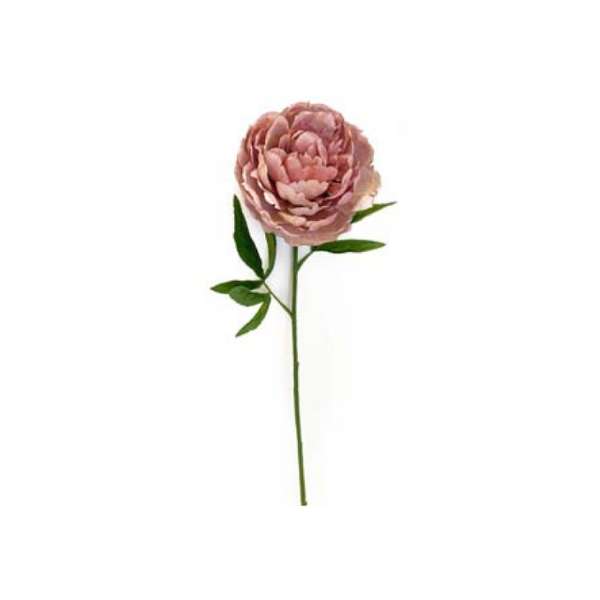 Toolhome Blossoms - Peony - Mauve (Pack of 6 Stems) - 62cm