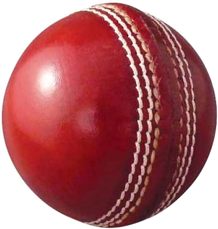 SENZA CRICKET BALLS-PACK OF 2