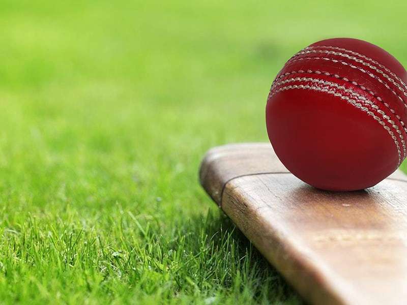 SENZA CRICKET BALLS-PACK OF 2