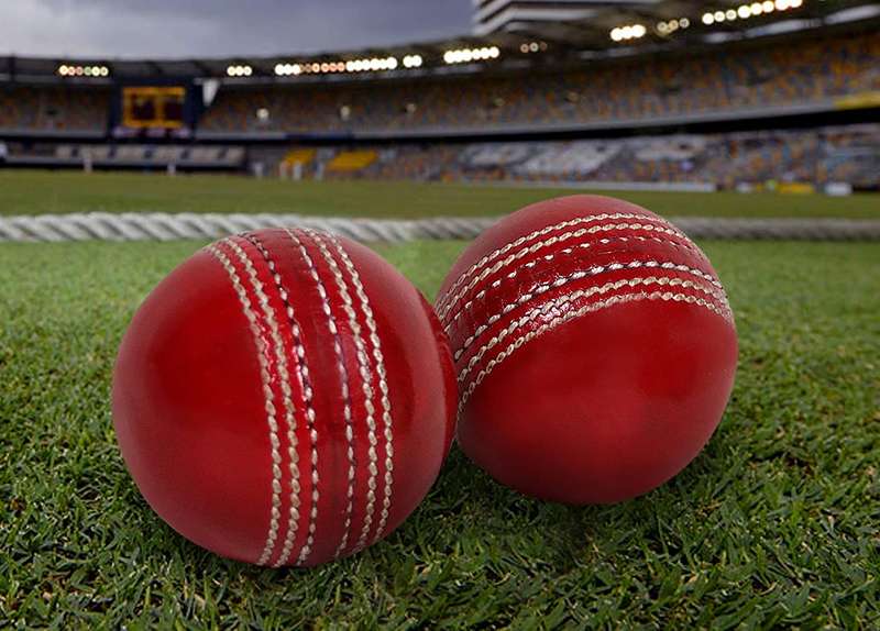 SENZA CRICKET BALLS-PACK OF 2