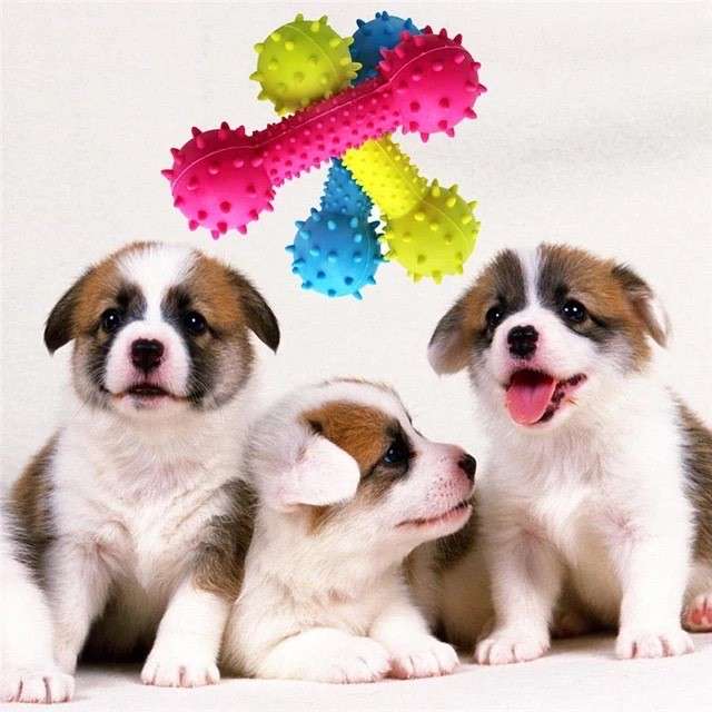Dog Rubber Chew Bones Mixed Pack Of 3