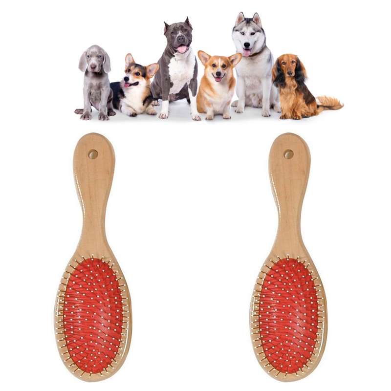 Pet Hair Brush - Pack Of 2