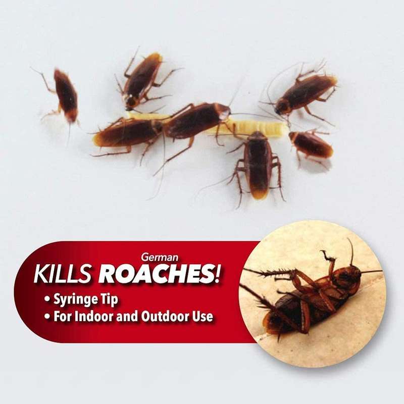 Roach Doctor Cockroach Killing Gel 30g