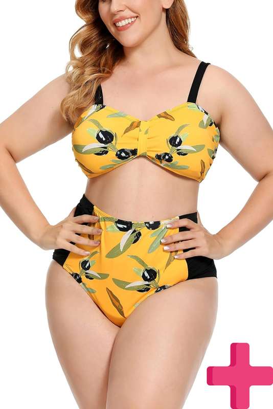 Ladies Plus Size High Waisted 2 Pcs Bikini Tummy Control Swimwear