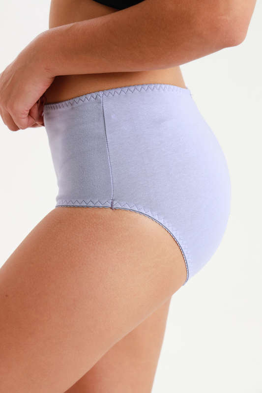 Ladies Fantasy 3 Pack Cotton Spandex Everyday Brief Panties