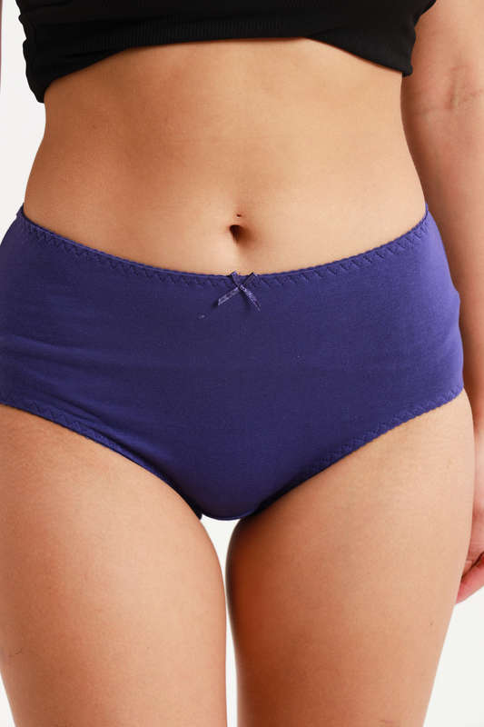 Ladies Fantasy 3 Pack Cotton Spandex Everyday Brief Panties