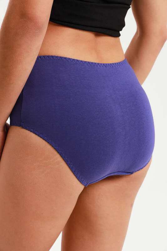 Ladies Fantasy 3 Pack Cotton Spandex Everyday Brief Panties