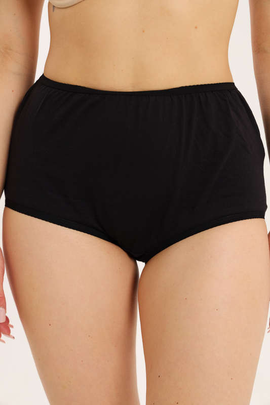 Branded 4 Pack Cotton Underwear High Waisted Panties Full Coverage Granny Brief Panties