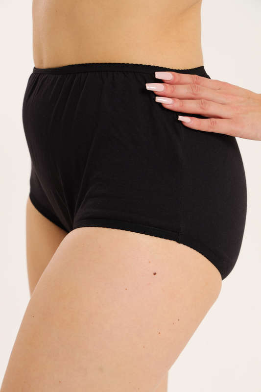 Branded 4 Pack Cotton Underwear High Waisted Panties Full Coverage Granny Brief Panties