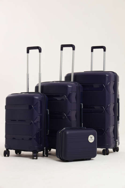 Mooistar 4 Piece Luxury Hard Shell Luggage Set