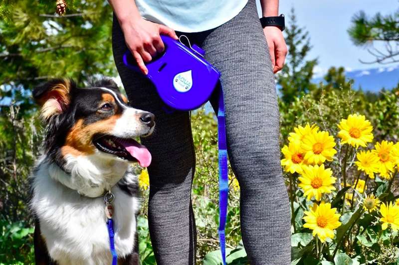 5 in 1 Aqua Dog Leash