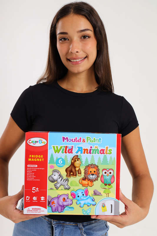 Children's Animal Shaped Fridge Magnet Mould with Paint Kit
