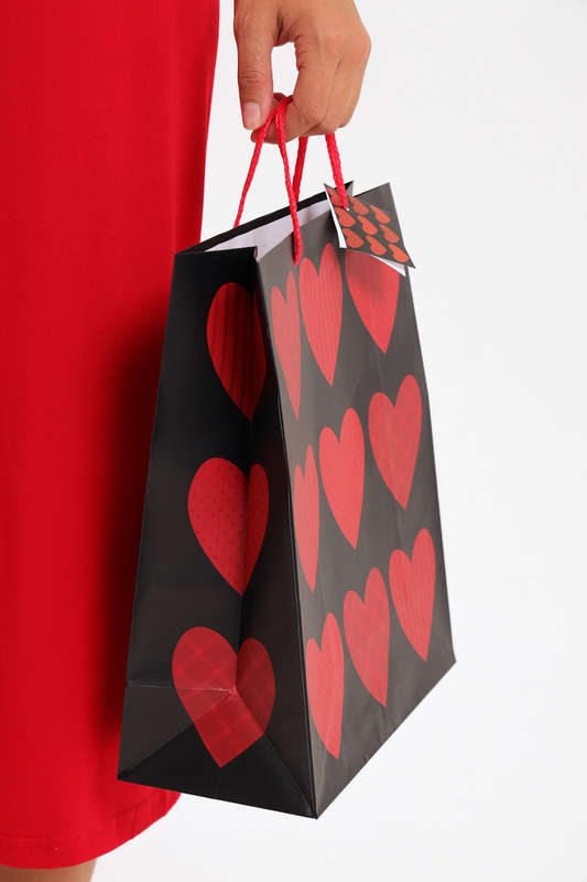 Senza® Valentine's Day XL Gift Bags