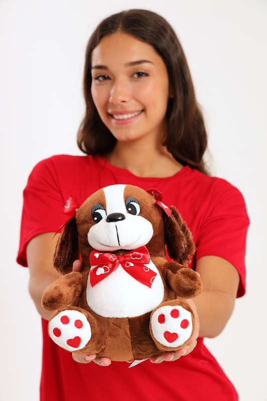 Valentine's Day Plush Teddy Bear