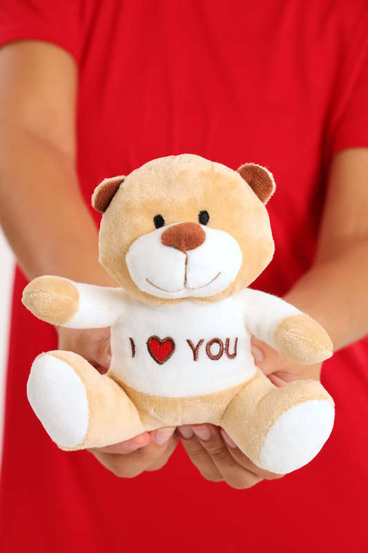 Valentine's Day Plush Teddy Bear