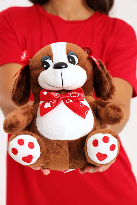 Valentine's Day Plush Teddy Bear