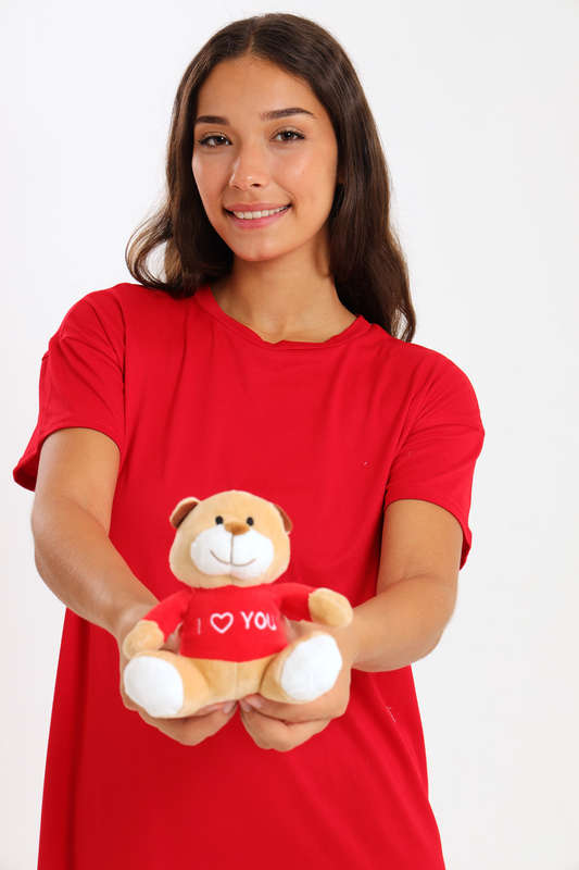 Valentine's Day Plush Teddy Bear