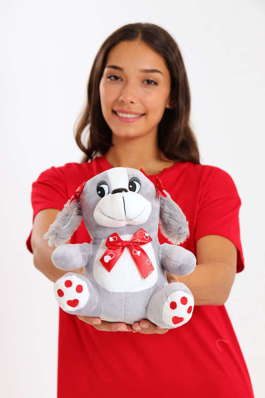 Valentine's Day Plush Teddy Bear