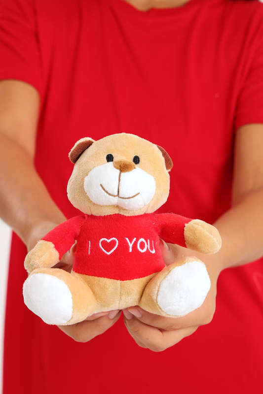 Valentine's Day Plush Teddy Bear
