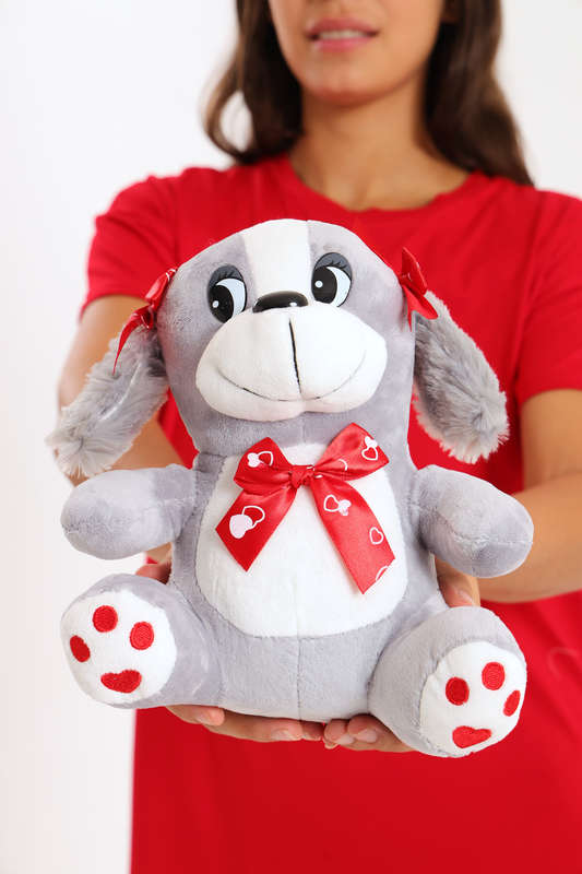 Valentine's Day Plush Teddy Bear